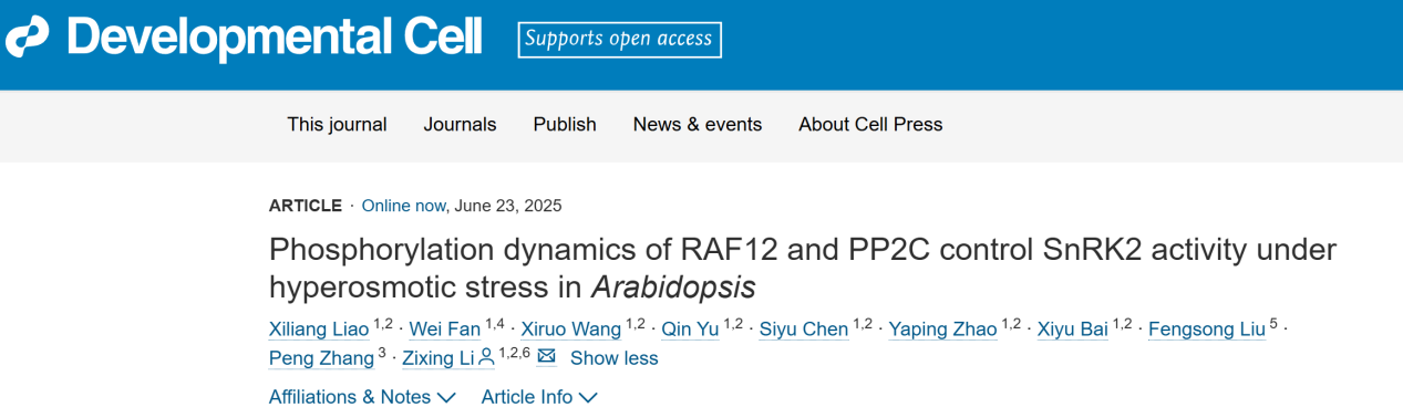 上海交大李子兴组揭示RAF12-HAI2-SnRK2.4信号模块在植物感知渗透胁迫及早期信号转导中的调控机制